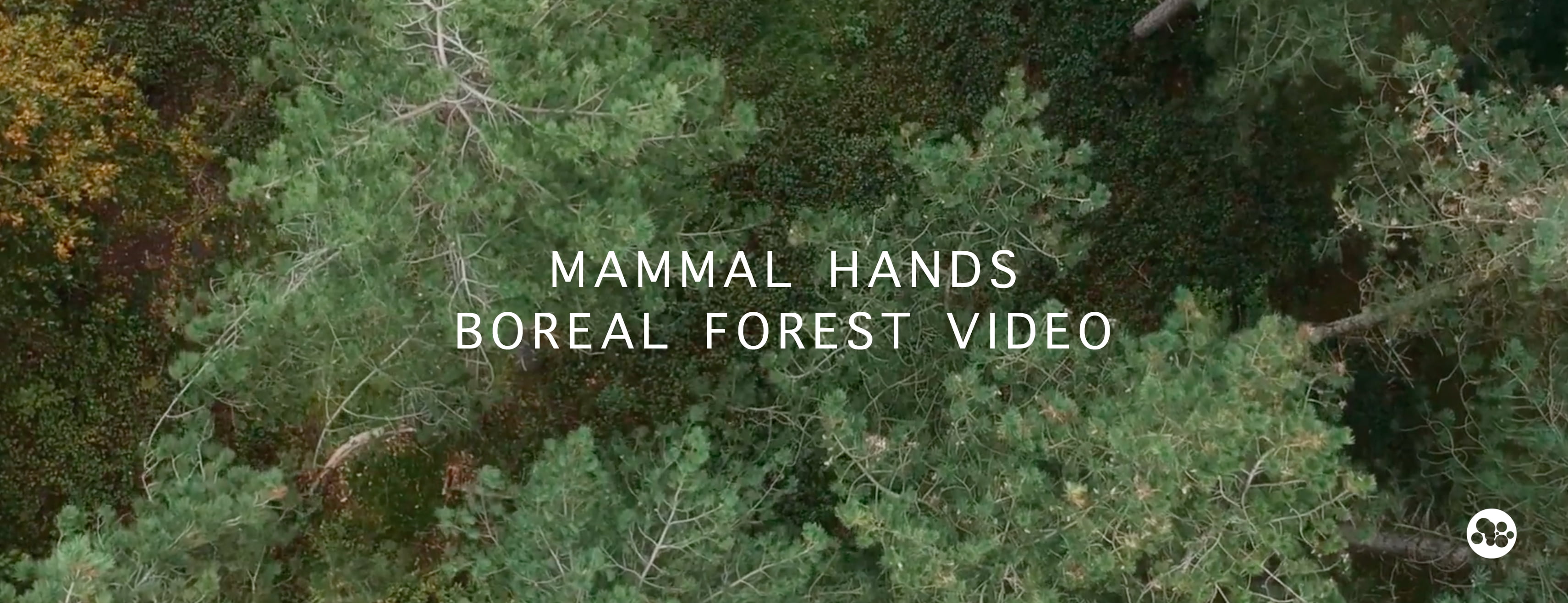1. Mammal Hands Boreal Forest Facebook Banner